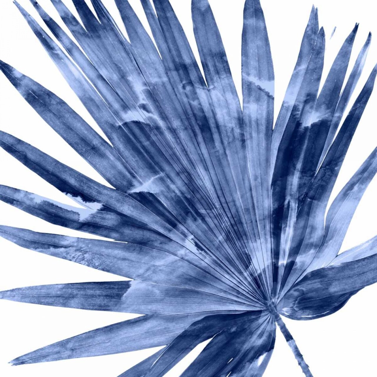 Tropical Indigo Palm IV Poster Print by Melonie Miller # MMR114335